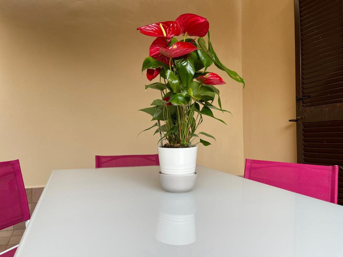 Flowers In Rome Luaran gambar