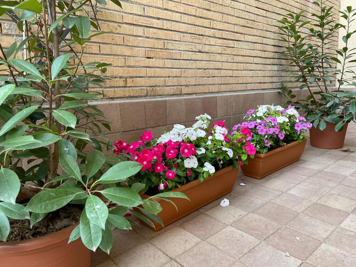Flowers In Rome Luaran gambar